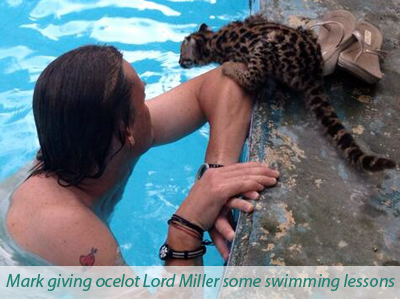 Mark gives ocelot Lord Miller some swimming lessons